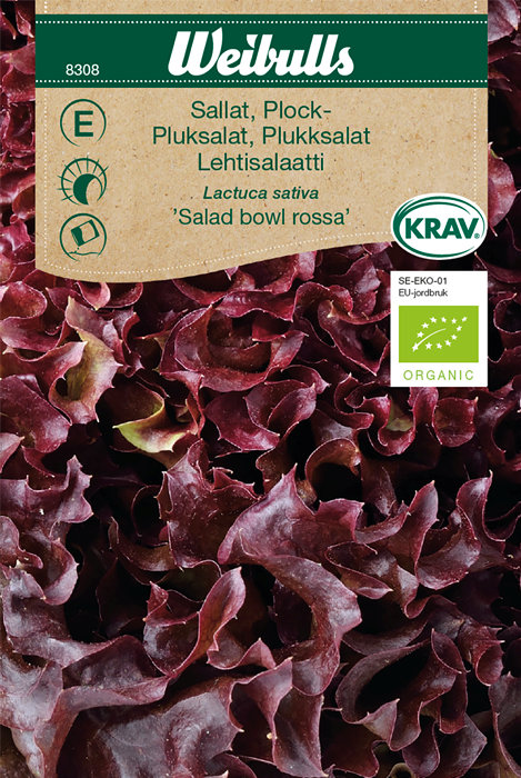 Pluksalat 'Salad bowl rossa' økologisk